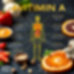 Infographic showing the functions of Vitamin A in the body