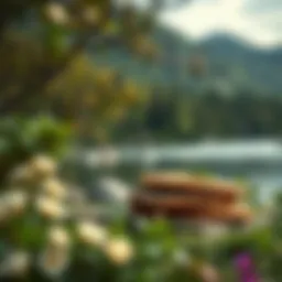 A serene landscape illustrating natural beauty and tranquility