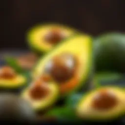 Botanical characteristics of avocado