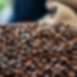 A vibrant coffee bean selection showcasing various types and origins.