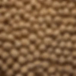 Dried white mulberry on a wooden surface