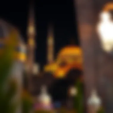 Bursa's historical landmarks illuminated at night