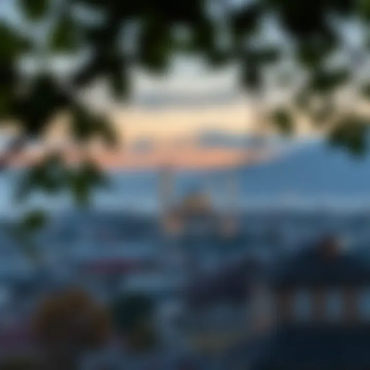 A serene view of Bursa Osmangazi at dawn