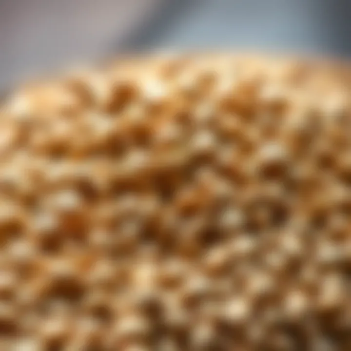 Nutritional Benefits of Cedene Seeds Close-up of Cedene seeds and their nutritional properties