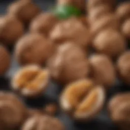 Nutrient-rich walnuts showcasing their potential health benefits.