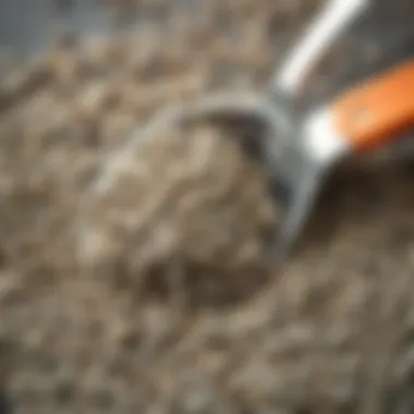 Chia Seeds Close-Up with Measuring Spoon Close-up of chia seeds with a measuring spoon