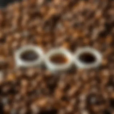 A variety of coffee beans for single-serve machines