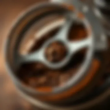Close-up of coffee grounds in a grinder