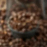 A close-up of freshly ground coffee beans