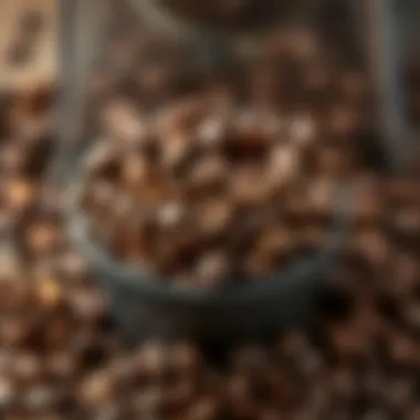 A close-up of freshly ground coffee beans