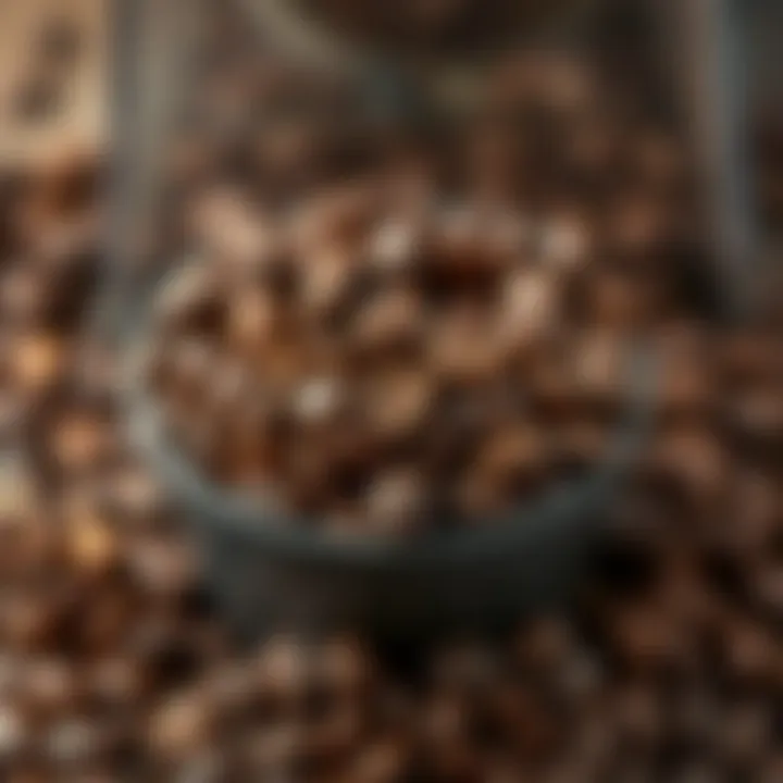 A close-up of freshly ground coffee beans