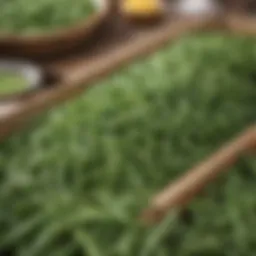 Fresh green beans in a farmers market display