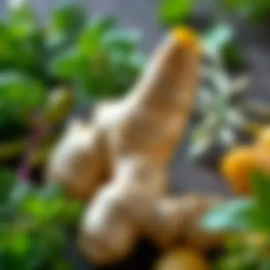 The Natural Power of Ginger A vibrant ginger root surrounded by fresh herbs