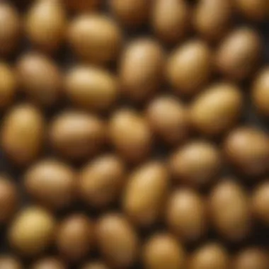 Nutritional Benefits of Boiled Potatoes Nutritional benefits of boiled potatoes