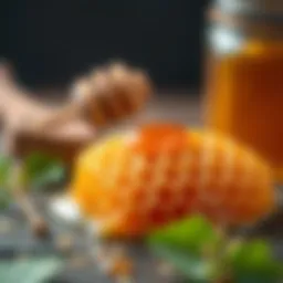 Natural honeycomb showcasing the rich texture of hayıt honey.