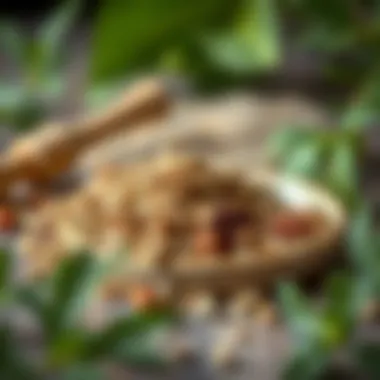 Herbs and Spices that Alleviate Gas Pain Herbs and spices that aid digestion