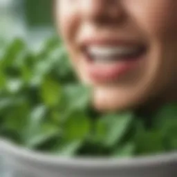 Refreshing mint leaves for oral hygiene