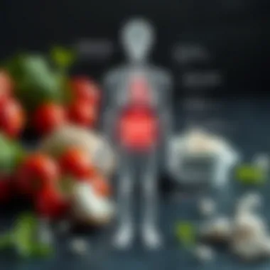 Effects of High Calcium Levels on the Body Impact of high calcium levels on the body diagram