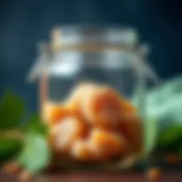 Traditional Turkish chestnut candy in a jar
