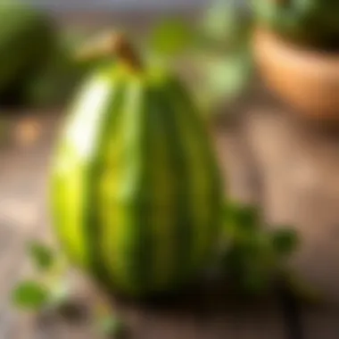 Bitter cucumber fruit, known for its health benefits