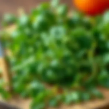 Fresh herbs complementing culinary creations