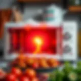 Illustration of microwave oven radiation effects