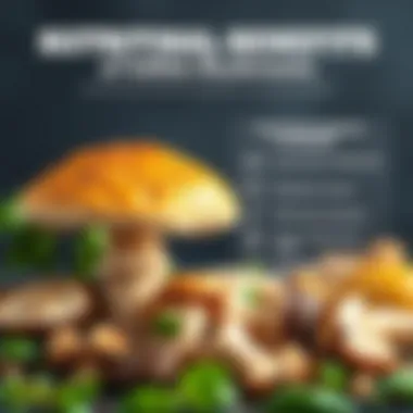 Nutritional Benefits of Edible Mushrooms Nutritional information chart highlighting the health benefits of mushrooms