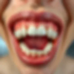Close-up view of a healthy mouth and gums