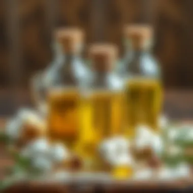 Historical overview of the use of cottonseed oil and olive oil in various cultures