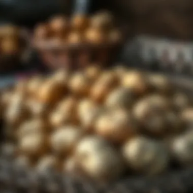 Freshly harvested potatoes in a rustic setting