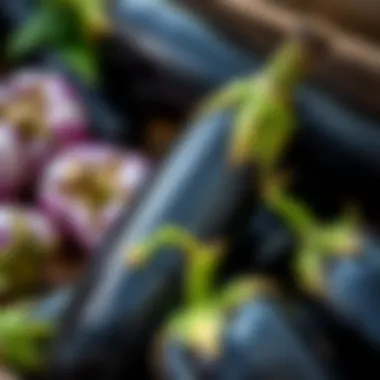 Proper storage methods for eggplant