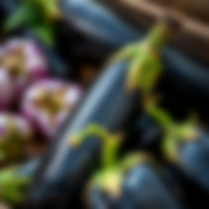 Proper storage methods for eggplant