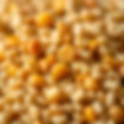 A close-up view of pollen grains showcasing their texture and color variations