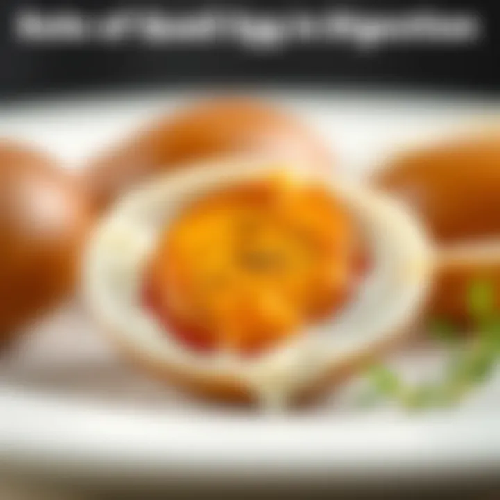 Role of quail eggs in digestion