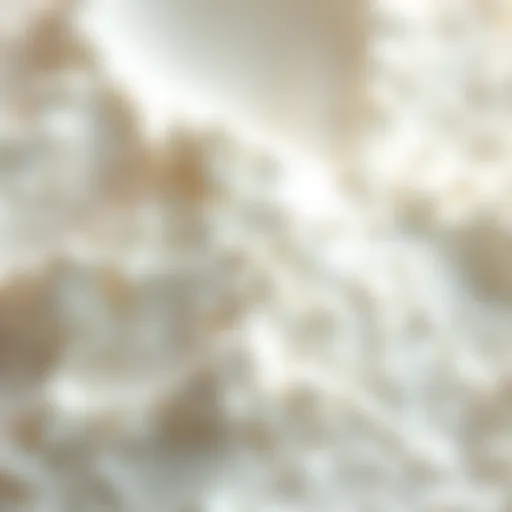 Close-up of powdered milk texture