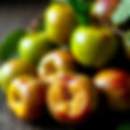 Fresh green plums showcasing their vibrant color and sheen