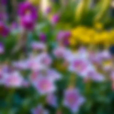 A serene garden filled with Tear of the Prophet flowers in full bloom, capturing their ethereal beauty.