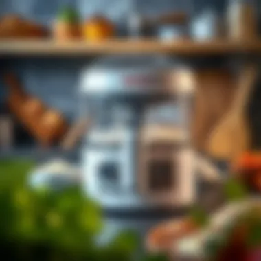 User-friendly interface of Tefal kneading machine