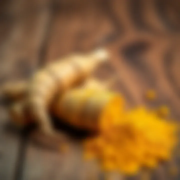 Turmeric in Its Natural Form Turmeric root and powder on a wooden surface