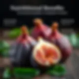Nutritional benefits of Yas fig displayed
