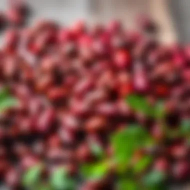 Nutritional chart highlighting benefits of Yayla red beans